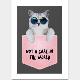 Not A Care In The World Posters and Art